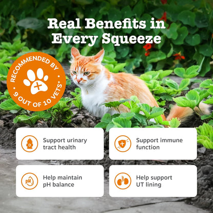 Zesty Paws Urinary & Renal Paste for Cats | Supports Urinary Tract & Kidney Function, Balance Urine pH Levels | Contains Cranberry Powder, D-Mannose, Vitamins B1, B6 & C| Real Fish Flavour | 75g