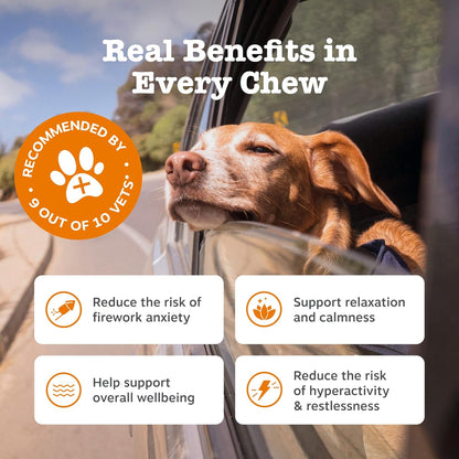 Zesty Paws Calming Treats for Dogs | Helps with Separation Anxiety, Stress & Hyperactivity, Supports Wellbeing & Relaxation | Contains Green Tea, Ashwagandha, L-Tryptophan | Daily Use | 90 Chews