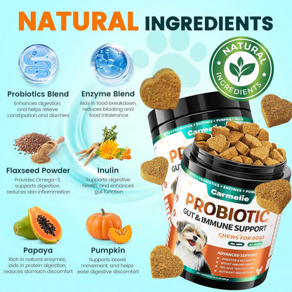 Carmelie Probiotics for Dogs, 200 Soft Chews Digestive Probiotics & Enzymes for Gut Health with Pumpkin, Fibre for Dogs Anti Diarrhea, Upset Stomach, Gas Relief, Itchy Skin & Immune Support (Chicken)