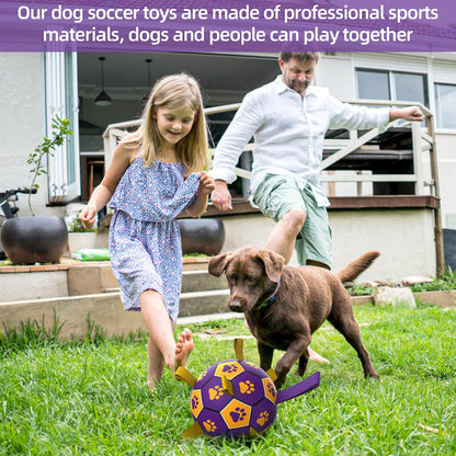 HETOO Interactive Dog Football Toys with Webbing, Durable Dog Balls for Small Medium Large Breed Dog Water Toy Indoor & Outdoor, Gift for Dogs (8 Inch)