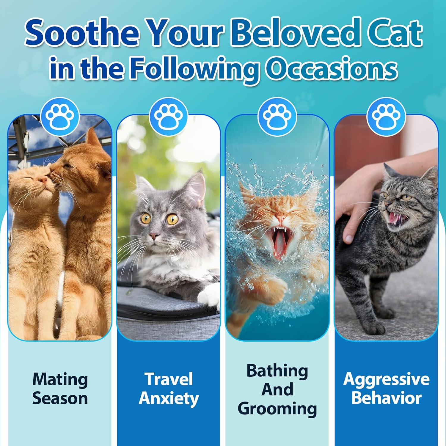 Carmelie Calming Treats for Cat- 200 Count Calming Cat Treats - Natural Cat Calming Support for Anxiety, Stress Relief - Chamomile, Valerian Root, L-Tryptophan - Chicken Flavor