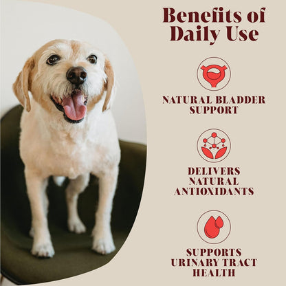 Cranberry for Dogs & Cats | Advanced Bladder & Kidney Support | Natural Powder Ingredient Based UTI Supplement | Tablet Alternative | 40 Daily Servings | Hackney Dog House