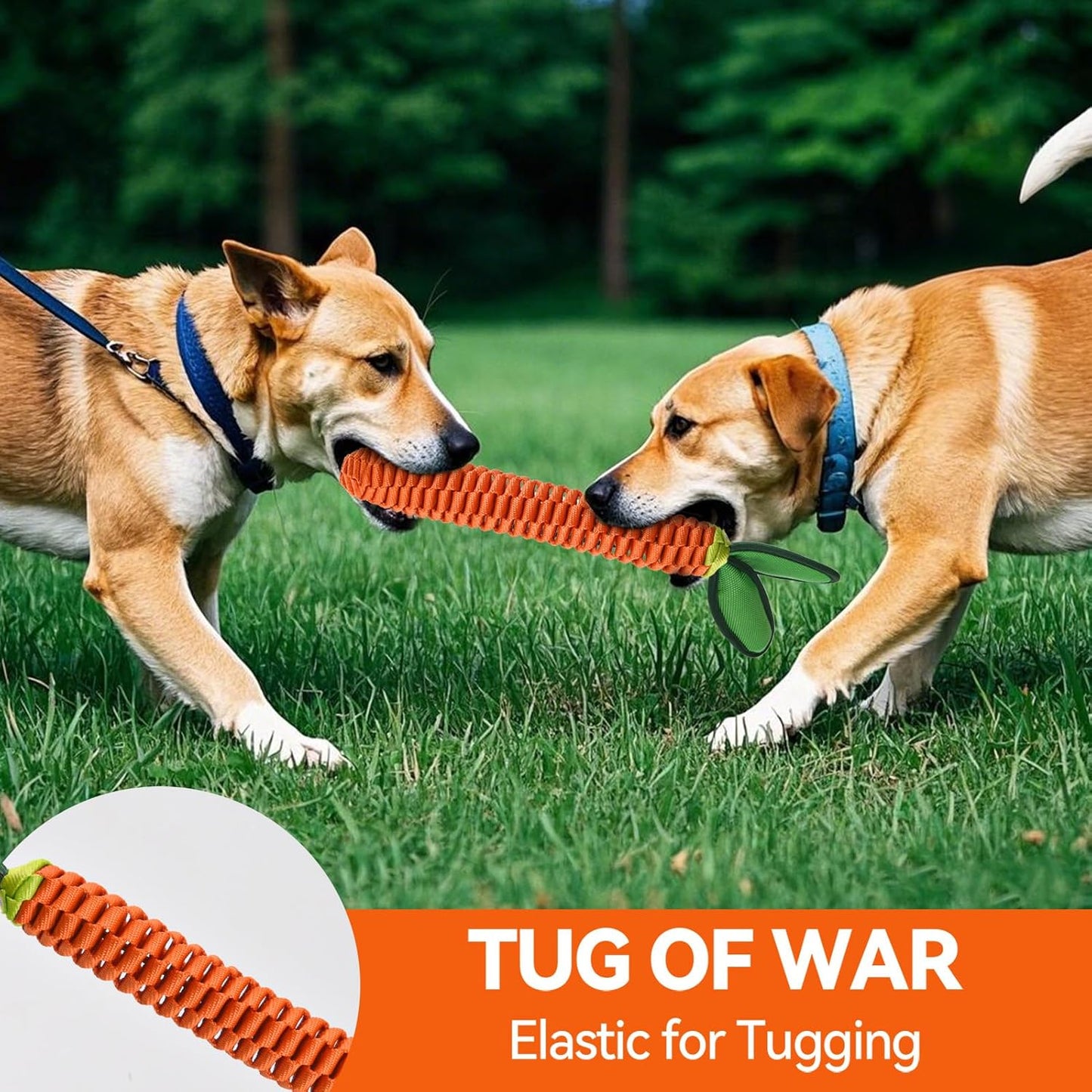 AUSCAT 2PCS Carrot Dog Rope Toy, Durable Braided Teething Toys, Tug of War Toy with Squeaker for Small Medium Large Dogs