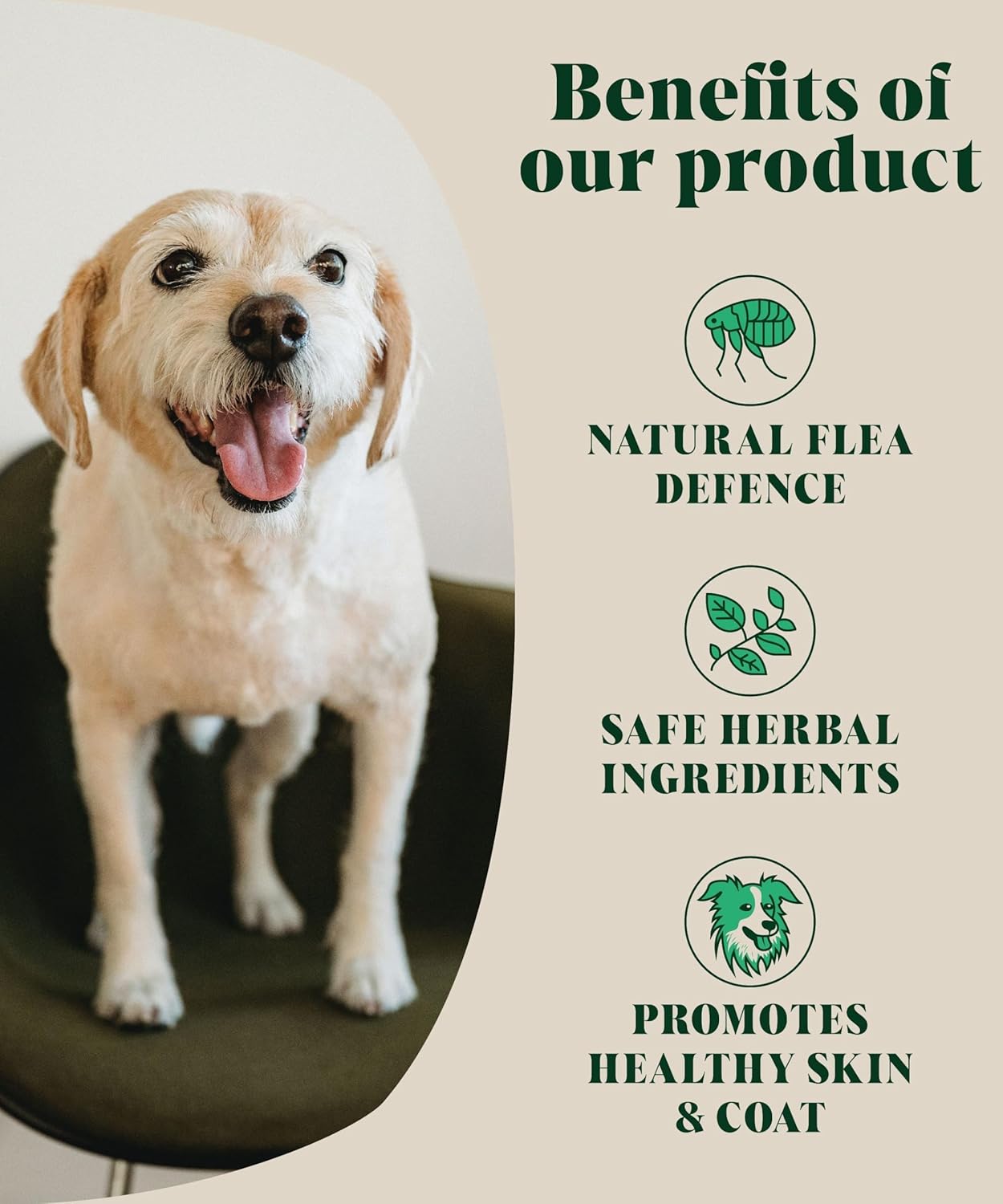 Natural Flea & Tick for Dogs | Effective Powdered Flea Repellent | Food Supplement | 200 grams | 80 Daily Servings | Hackney Dog House