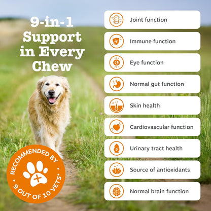 Zesty Paws 9 in 1 Multivitamins for Senior Dogs | Supports Joints, Skin, Eyes, Brain Function, Immune System, Urinary Tract, Heart & Gut Health| Vitamin A, B & C, Folic Acid, Biotin | 60 Chews