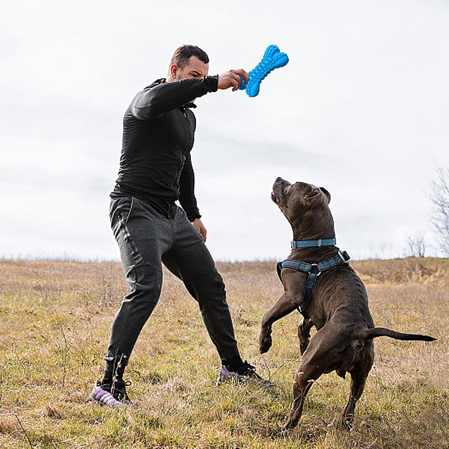 LEGEND SANDY Dog Toys for Aggressive Chewers Large Breed, Durable Dog Bones Squeaky Chew Toy, Nearly Indestructible Dog Toys for Large, Tough Natural Rubber Puppy Chew for Medium Teeth Cleaning