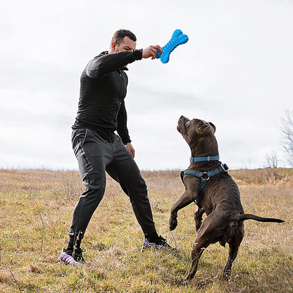 LEGEND SANDY Dog Toys for Aggressive Chewers Large Breed, Durable Dog Bones Squeaky Chew Toy, Nearly Indestructible Dog Toys for Large, Tough Natural Rubber Puppy Chew for Medium Teeth Cleaning