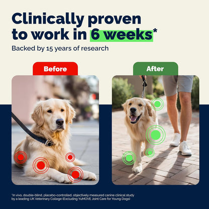 YuMOVE Joint Supplement for Dogs, Essential Dog Hip and Joint Aid for Stiff Adult Dogs with Glucosamine, Chondroitin & Green Lipped Mussel, 60 Tablets