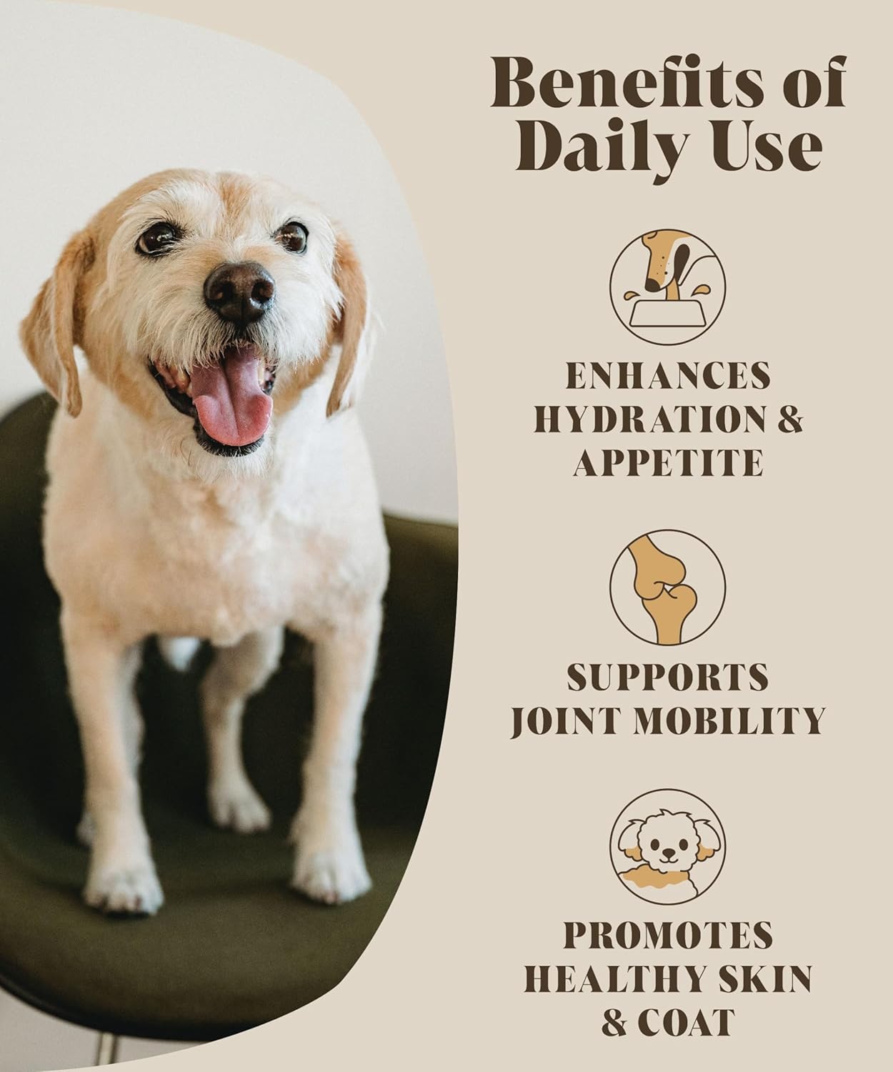 Chicken Bone Broth for Dogs & Cats | Create Delicious Bone Broth Gravy | Dog Food Topper for Picky Eaters | Each Pack Makes 9 Pints | Hackney Dog House