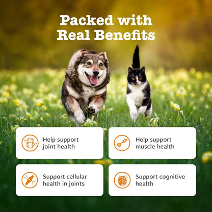 Zesty Paws Hip & Joint Salmon Oil For Cats & Dogs | Supports Mobility, Joint, Muscle, Cognitive & Cellular Health | Contains Salmon, Krill, Flaxseed Oils, Vitamin E | Daily Use | 250ml