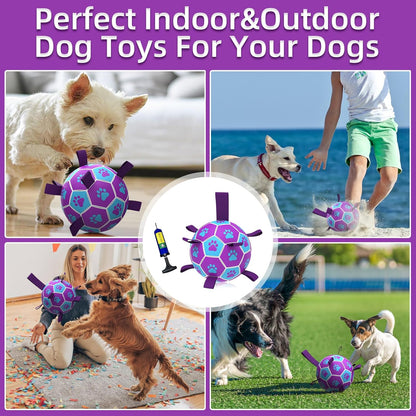HETOO Dog Ball Toy Dog Football: Interactive Dog Balls with Webbing, Durable High Bounce Floating Dog Toys Balls for Dog Birthday Gifts Indoor & Outdoor Purple Blue Medium (6 Inch)