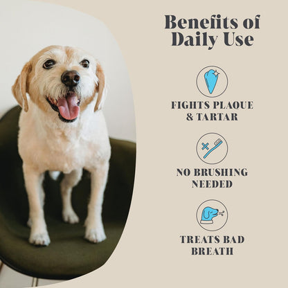 Plaque Off Seaweed Powder for Dogs (150 grams) | Natural Kelp | Plaque & Tartar Remover for Dogs | Naturally Freshens Breath | Dental Powder | Fights Teeth & Gum Disease | 120 Servings