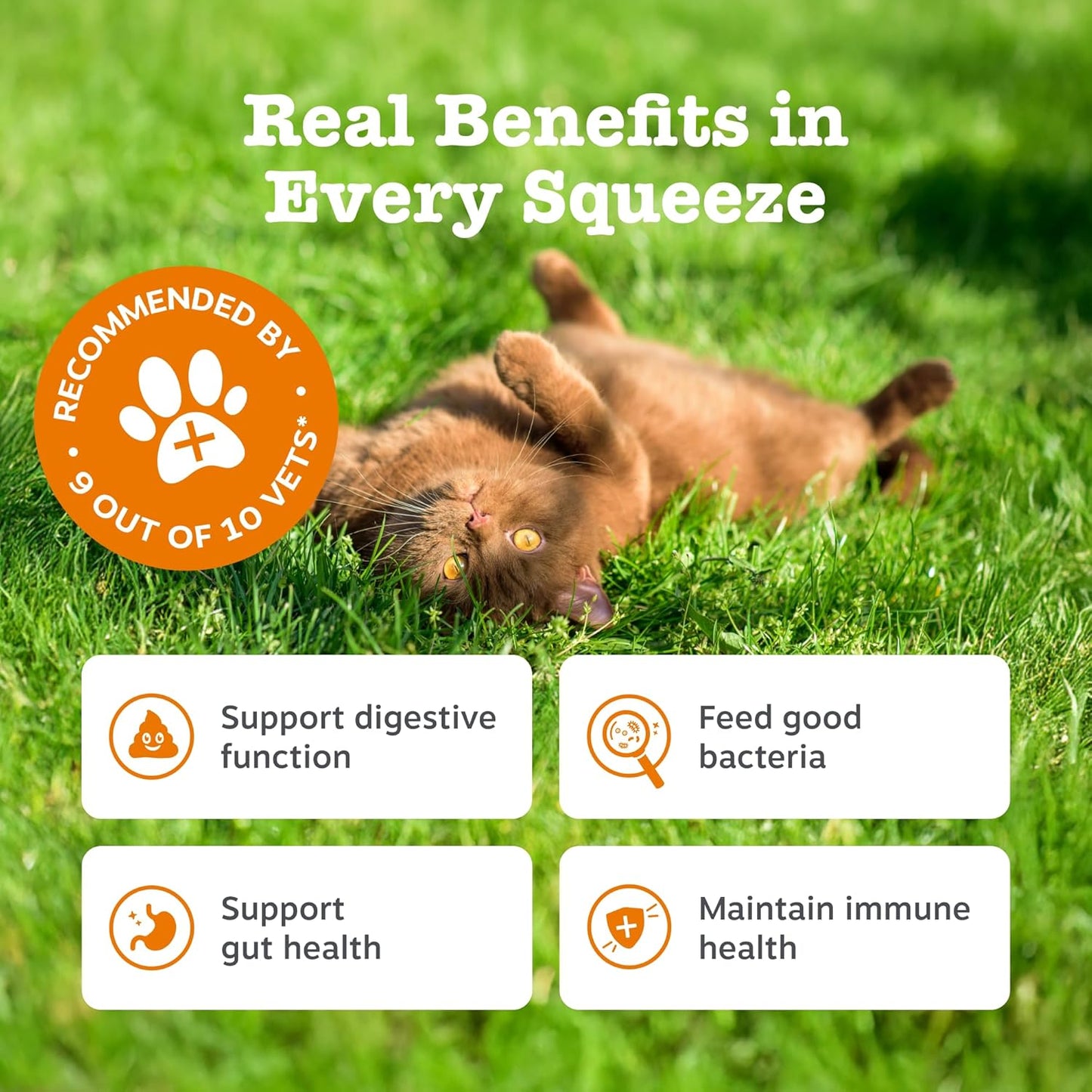 Zesty Paws Digestion & Prebiotics Paste for Cats | Helps Gut Health, Digestive Function & Immune Support | Contains Algal Oil, Postbiotics, Inulin, Vitamins C & E | Real Fish Flavour | 75g