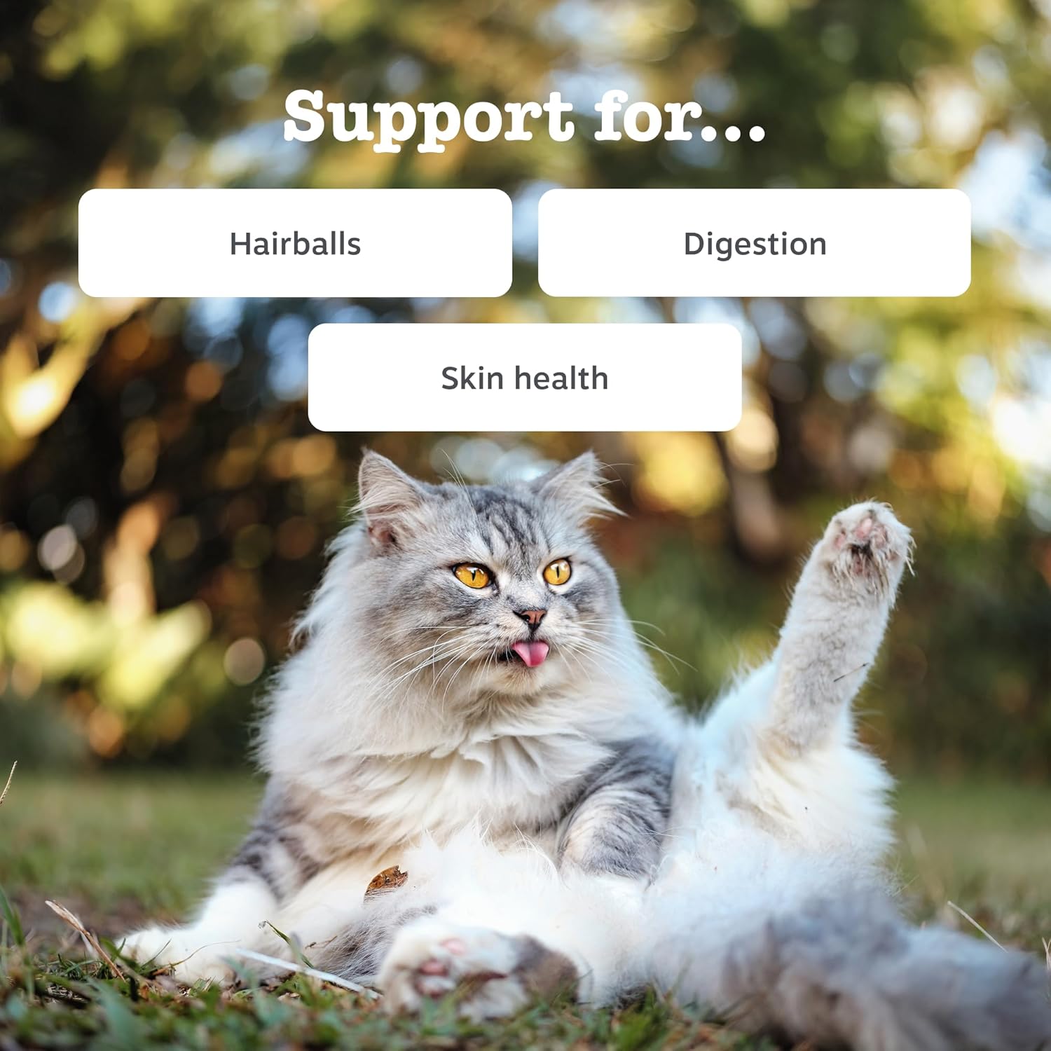 Zesty Paws Anti-Hairball Paste for Cats | Minimises Hairballs, Aids Digestion, Supports Skin & Coat Health | Contains Fish Oil, OmegaVie, Psyllium Husk, Inulin, Malt Extract | Real Fish Flavour | 75g