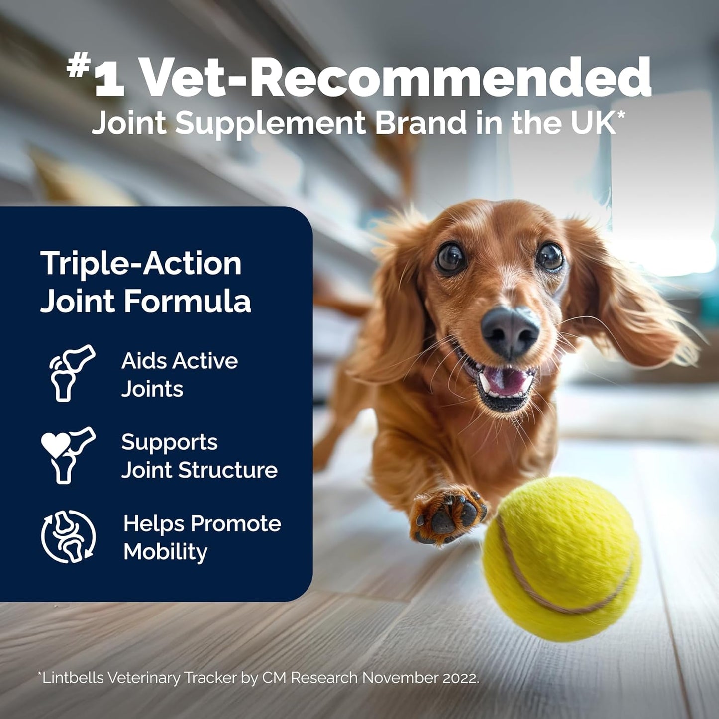 YuMOVE Young and Active Dog | Joint Supplement for Dogs to Support Active and Growing Joints Aged Under 6 | 60 Tablets Clear