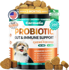 Carmelie Probiotics for Dogs, 200 Soft Chews Digestive Probiotics & Enzymes for Gut Health with Pumpkin, Fibre for Dogs Anti Diarrhea, Upset Stomach, Gas Relief, Itchy Skin & Immune Support (Chicken)