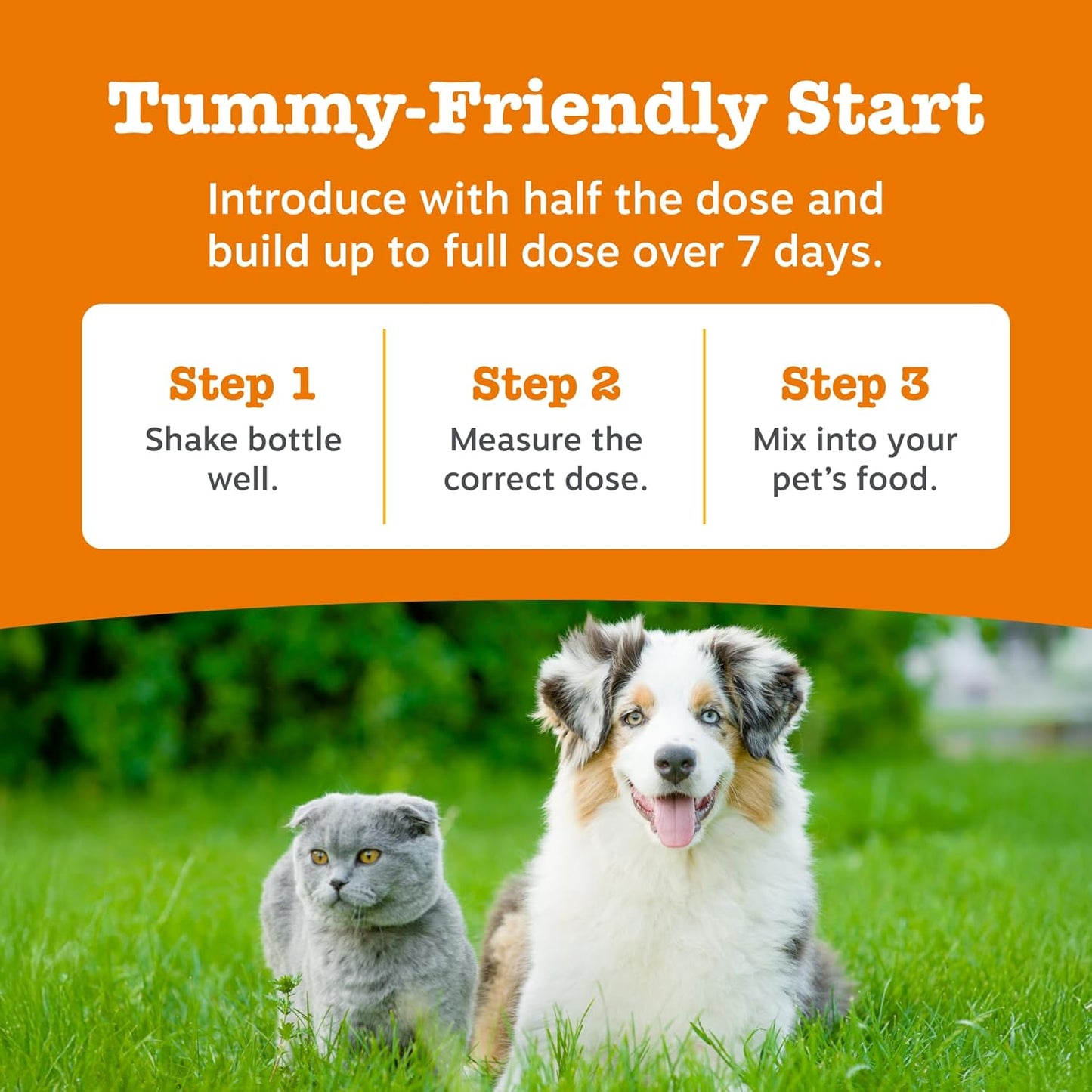 Zesty Paws Skin & Coat Salmon Oil For Cats & Dogs | Supports Pets with Dry, Itchy, Sensitive Skin, Nourish Coat & Fur | Contains Salmon, Flaxseed & Krill Oils, Vitamin E | Daily Use | 250ml