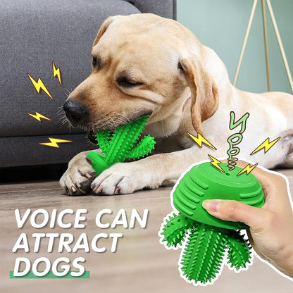 HETOO Indestructible Dog Chew Toys for Aggressive Chewers: Tough Durable Dog Squeaky Toys Dog Toothbrush for Teeth Cleaning, Gifts for Dogs (Cactus)