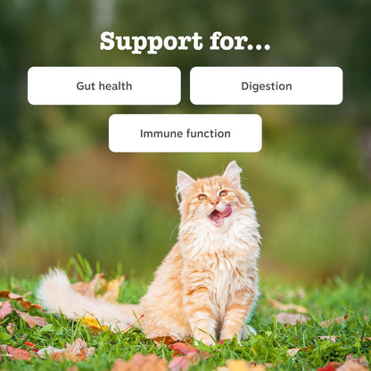 Zesty Paws Digestion & Prebiotics Paste for Cats | Helps Gut Health, Digestive Function & Immune Support | Contains Algal Oil, Postbiotics, Inulin, Vitamins C & E | Real Fish Flavour | 75g