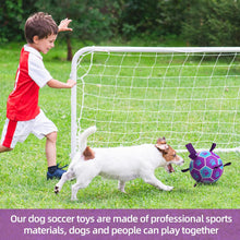 HETOO Dog Ball Toy Dog Football: Interactive Dog Balls with Webbing, Durable High Bounce Floating Dog Toys Balls for Dog Birthday Gifts Indoor & Outdoor Purple Blue Medium (6 Inch)