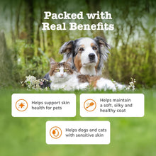 Zesty Paws Skin & Coat Salmon Oil For Cats & Dogs | Supports Pets with Dry, Itchy, Sensitive Skin, Nourish Coat & Fur | Contains Salmon, Flaxseed & Krill Oils, Vitamin E | Daily Use | 250ml