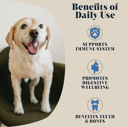 Hackney Dog House Goats Milk Powder for Dogs & Cats | Create Delicious Goats Milk-Drink | For Adult & Puppy | Each Pack Makes 12 Pints