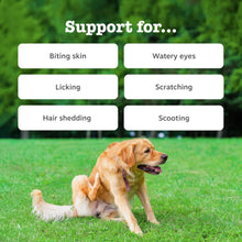 Zesty Paws Aller-Immune Chews for Dogs | Supports Immune Function, Helps Gut, Skin & Coat Health, For Itchy, Dry Skin | Contains Salmon Oil, Prebiotics, Probiotics, Vitamin A | Daily Use | 90 Chews