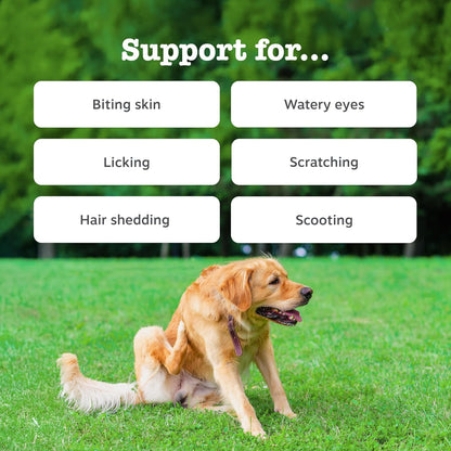 Zesty Paws Aller-Immune Chews for Dogs | Supports Immune Function, Helps Gut, Skin & Coat Health, For Itchy, Dry Skin | Contains Salmon Oil, Prebiotics, Probiotics, Vitamin A | Daily Use | 60 Chews
