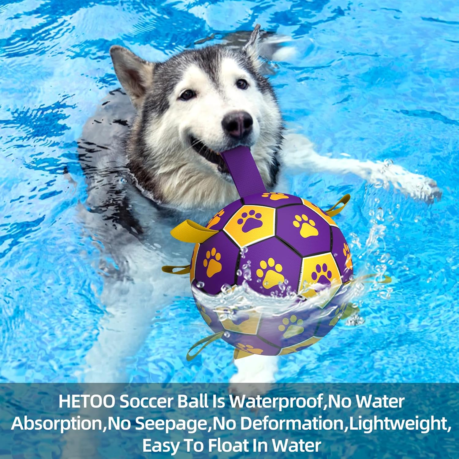 HETOO Interactive Dog Football Toys with Webbing, Durable Dog Balls for Small Medium Large Breed Dog Water Toy Indoor & Outdoor, Gift for Dogs (8 Inch)