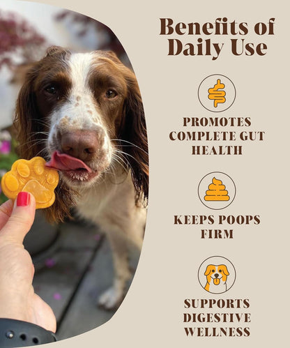 Probiotics & Pumpkin For Dogs | Real Pumpkin Purée Powder + Pre & Probiotic Blend | Dog Probiotics For Gut Health | 225 grams | 45 Daily Servings