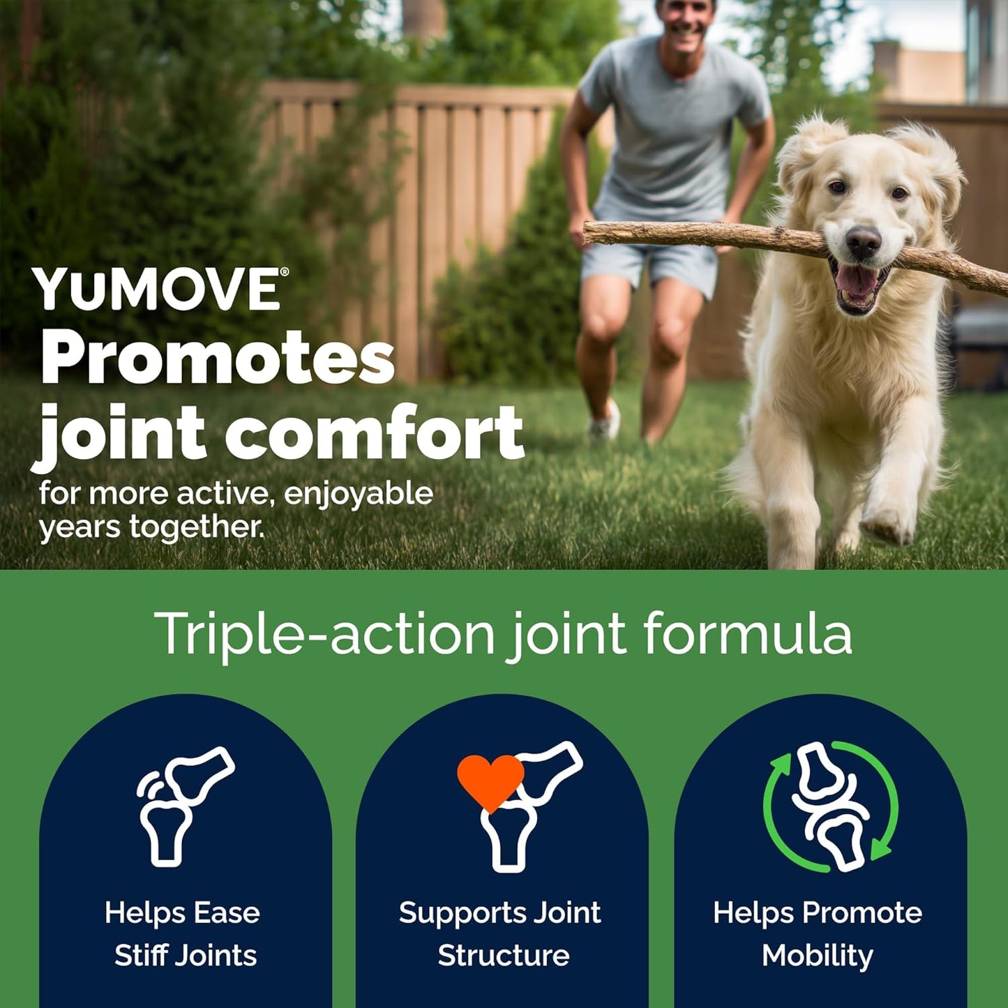 YuMOVE Joint Supplement for Dogs, Essential Dog Hip and Joint Aid for Stiff Adult Dogs with Glucosamine, Chondroitin & Green Lipped Mussel, 60 Tablets