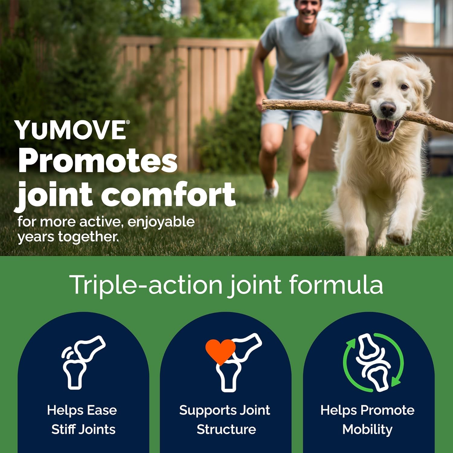YuMOVE Joint Supplement for Dogs, Essential Dog Hip and Joint Aid for Stiff Adult Dogs with Glucosamine, Chondroitin & Green Lipped Mussel, 60 Tablets