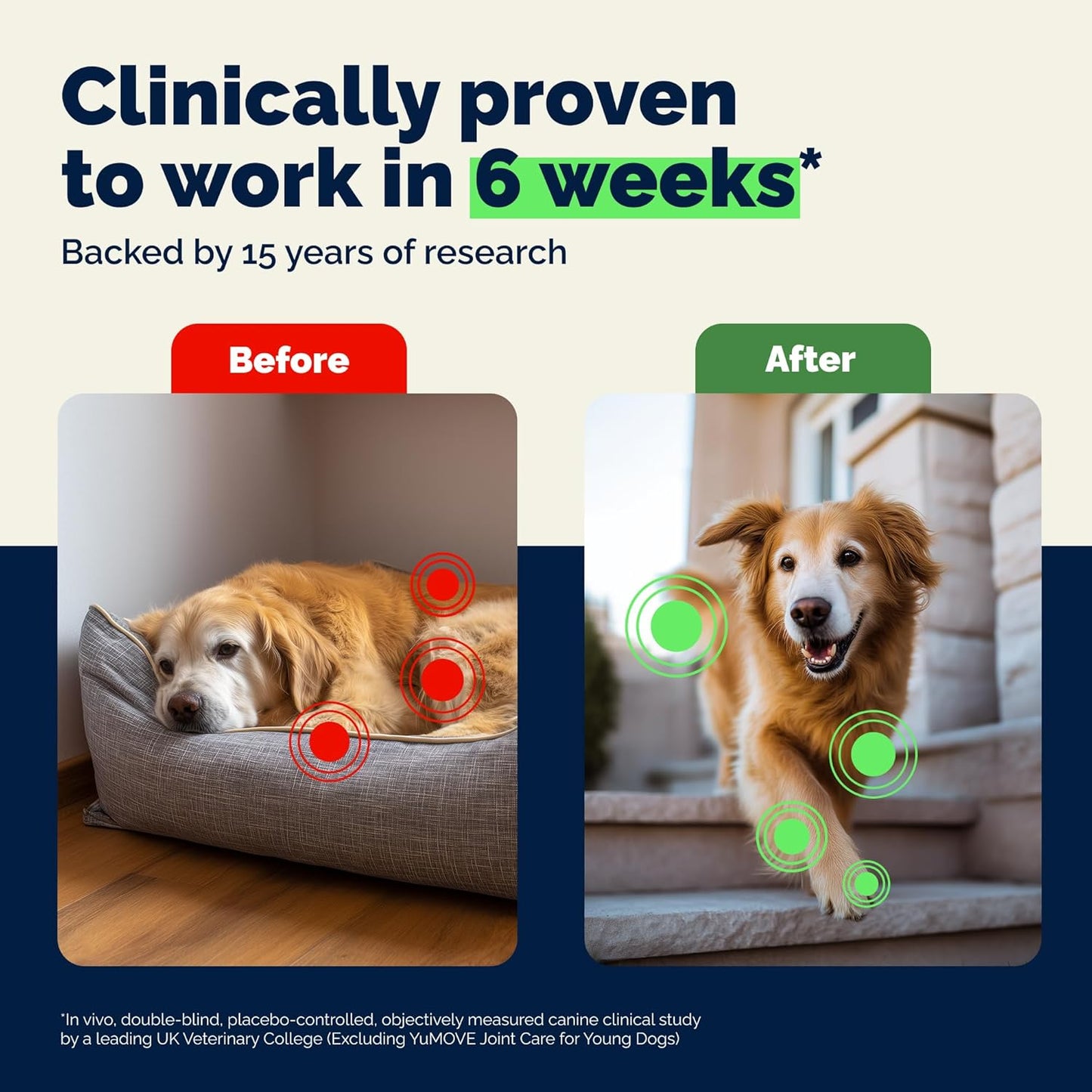 YuMOVE Senior Dog Joint Supplement, Essential Hip & Joint Support for Older Dogs with Glucosamine, Chondroitin, Green Lipped Mussel, Aged 8+, 120 Tablets, Packaging May Vary