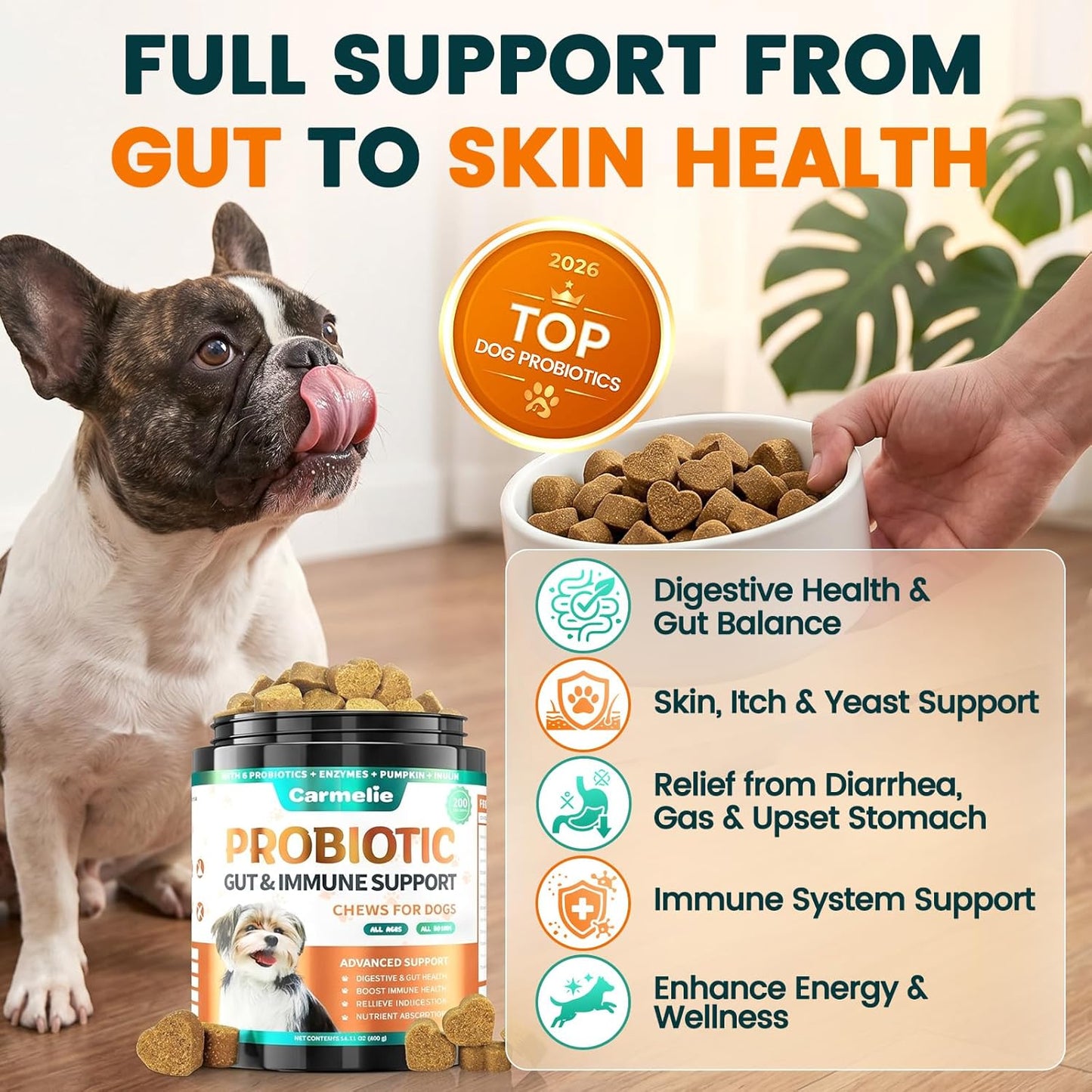 Carmelie Probiotics for Dogs, 200 Soft Chews Digestive Probiotics & Enzymes for Gut Health with Pumpkin, Fibre for Dogs Anti Diarrhea, Upset Stomach, Gas Relief, Itchy Skin & Immune Support (Chicken)