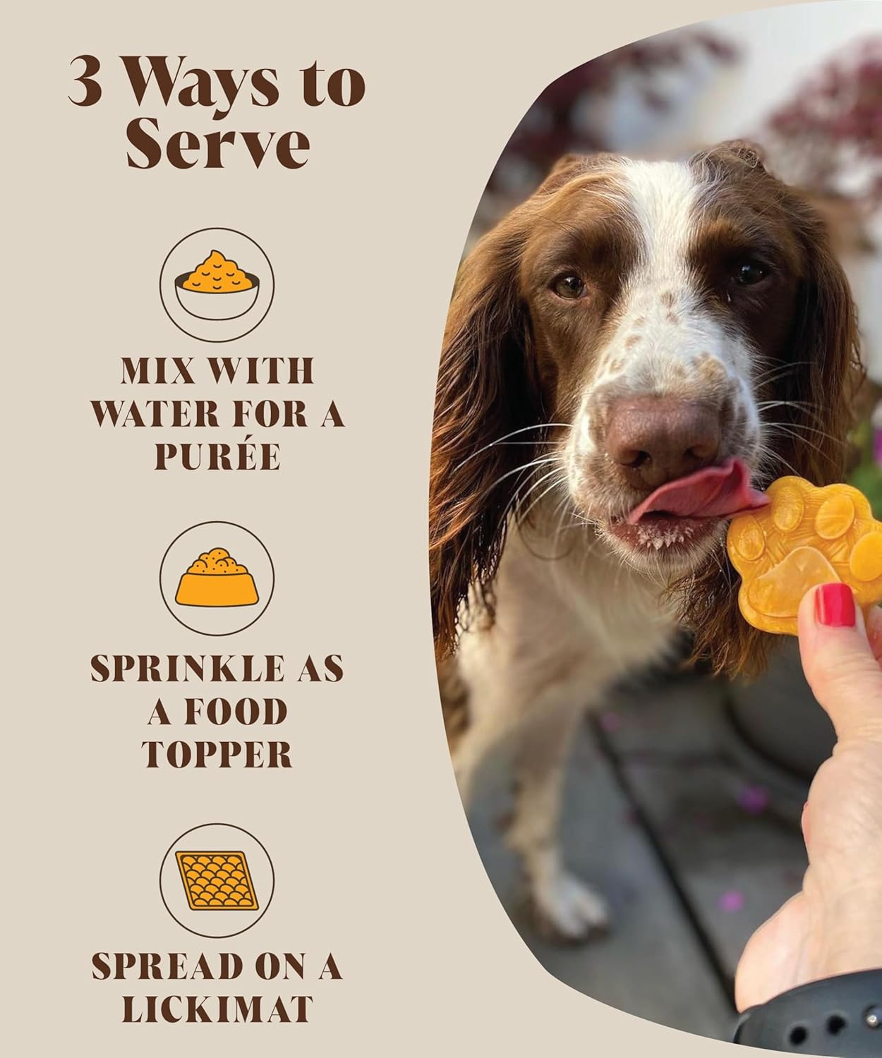 Probiotics & Pumpkin For Dogs | Real Pumpkin Purée Powder + Pre & Probiotic Blend | Dog Probiotics For Gut Health | 225 grams | 45 Daily Servings