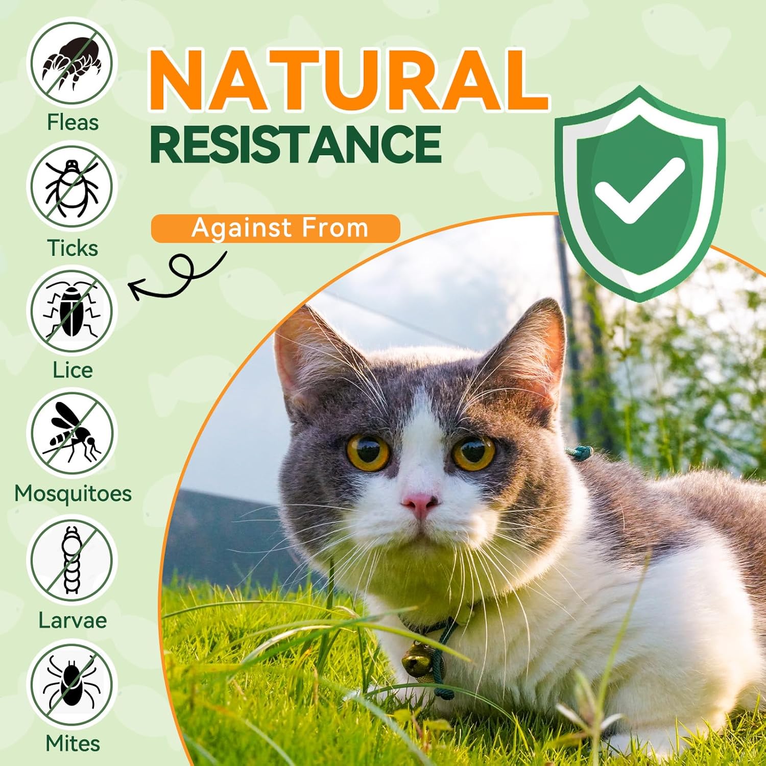 Carmelie Flea and Tick Chews for Cats - 200 Chewables Natural Cats Fleas and Ticks Prevention – Cat Flea Tick Support, Cat Flea Soft Treats for All Breeds & Ages-Chicken Flavor