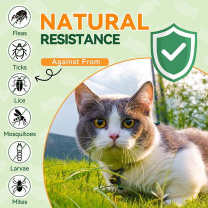 Carmelie Flea and Tick Chews for Cats - 200 Chewables Natural Cats Fleas and Ticks Prevention – Cat Flea Tick Support, Cat Flea Soft Treats for All Breeds & Ages-Chicken Flavor
