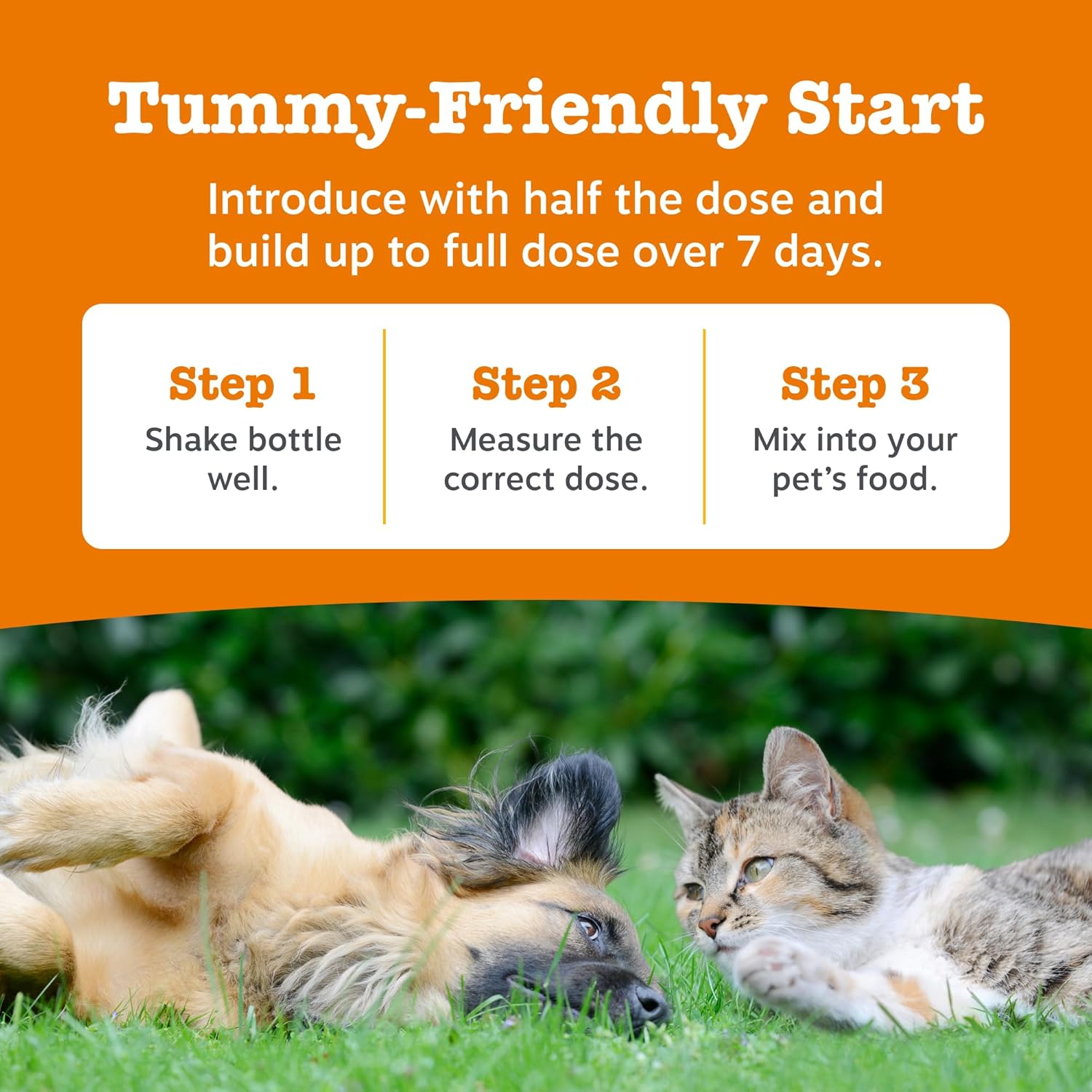 Zesty Paws Hip & Joint Salmon Oil For Cats & Dogs | Supports Mobility, Joint, Muscle, Cognitive & Cellular Health | Contains Salmon, Krill, Flaxseed Oils, Vitamin E | Daily Use | 250ml