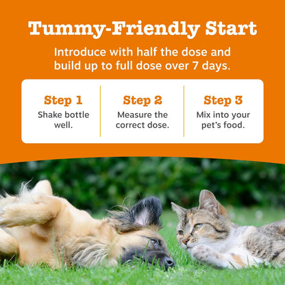 Zesty Paws Hip & Joint Salmon Oil For Cats & Dogs | Supports Mobility, Joint, Muscle, Cognitive & Cellular Health | Contains Salmon, Krill, Flaxseed Oils, Vitamin E | Daily Use | 250ml