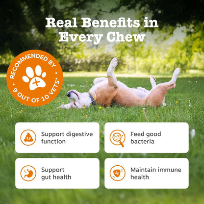 Zesty Paws Probiotic Chews for Dogs | Supports Gut Health, Stool Quality & Digestive Balance, Bad Breath | Contains Prebiotics, Probiotics & Postbiotics, Pumpkin & Linseed | Daily Use | 60 Chews