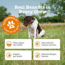 Zesty Paws Senior Aller-Immune Chews for Older Dogs | Supports Immune Function, Gut, Skin & Coat Health, For Itchy, Dry Skin | With Salmon, Probiotics, Postbiotics, Vitamin A | Daily Use | 90 Chews