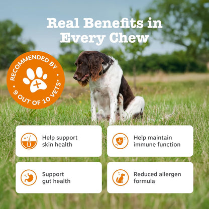 Zesty Paws Senior Aller-Immune Chews for Older Dogs | Supports Immune Function, Gut, Skin & Coat Health, For Itchy, Dry Skin | With Salmon, Probiotics, Postbiotics, Vitamin A | Daily Use | 90 Chews