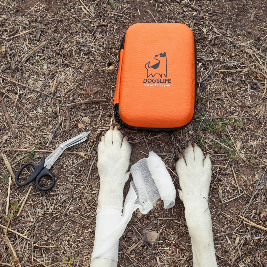 First Aid Kit For Dogs