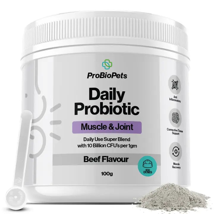 Muscle & Joint Probiotic For Pets