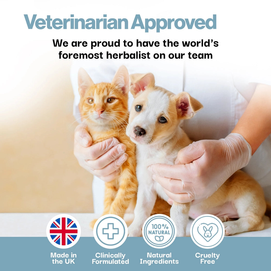 Calming Aid Probiotic For Pets