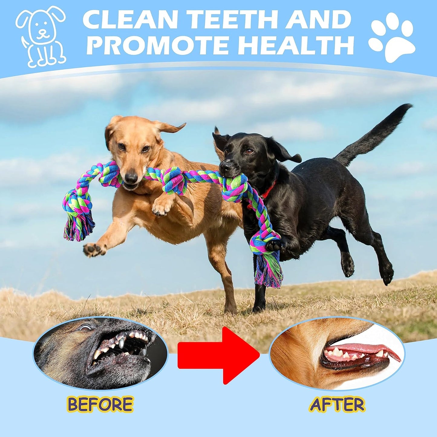 Aitmexcn Dog Rope Toys for Large Medium Breed Chewers – 37 Inch 5 Knots Indestructible Dog Chew Toys, Tough Tug of War Rope for Teeth Cleaning, Interactive Play