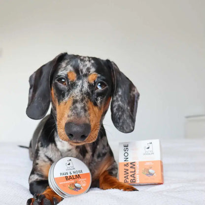 Protective Paw and Nose Balm
