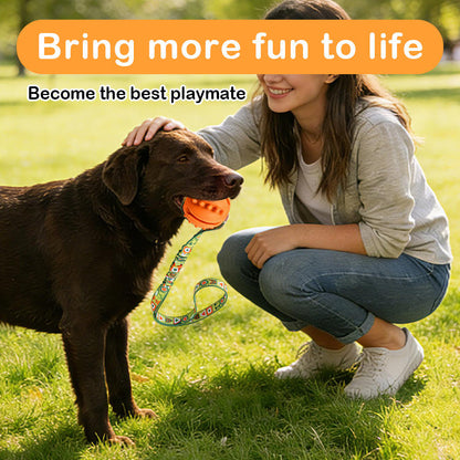 Interactive Dog Toy Natural Rubber Ball Textured Teeth Cleaning Elastic Bungee Strap Bonding With Owner for All Breeds