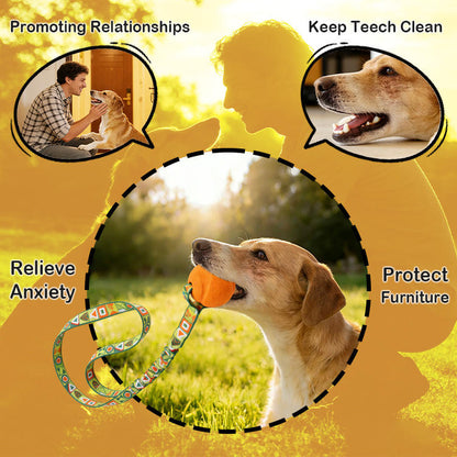 Natural Rubber Ball Interactive Elastic Bungee Tug Dog Toy Chew Pet Toy for Teeth Cleaning Anxiety Relief