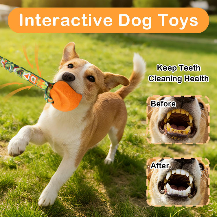 Natural Rubber Ball Interactive Elastic Bungee Tug Dog Toy Chew Pet Toy for Teeth Cleaning Anxiety Relief